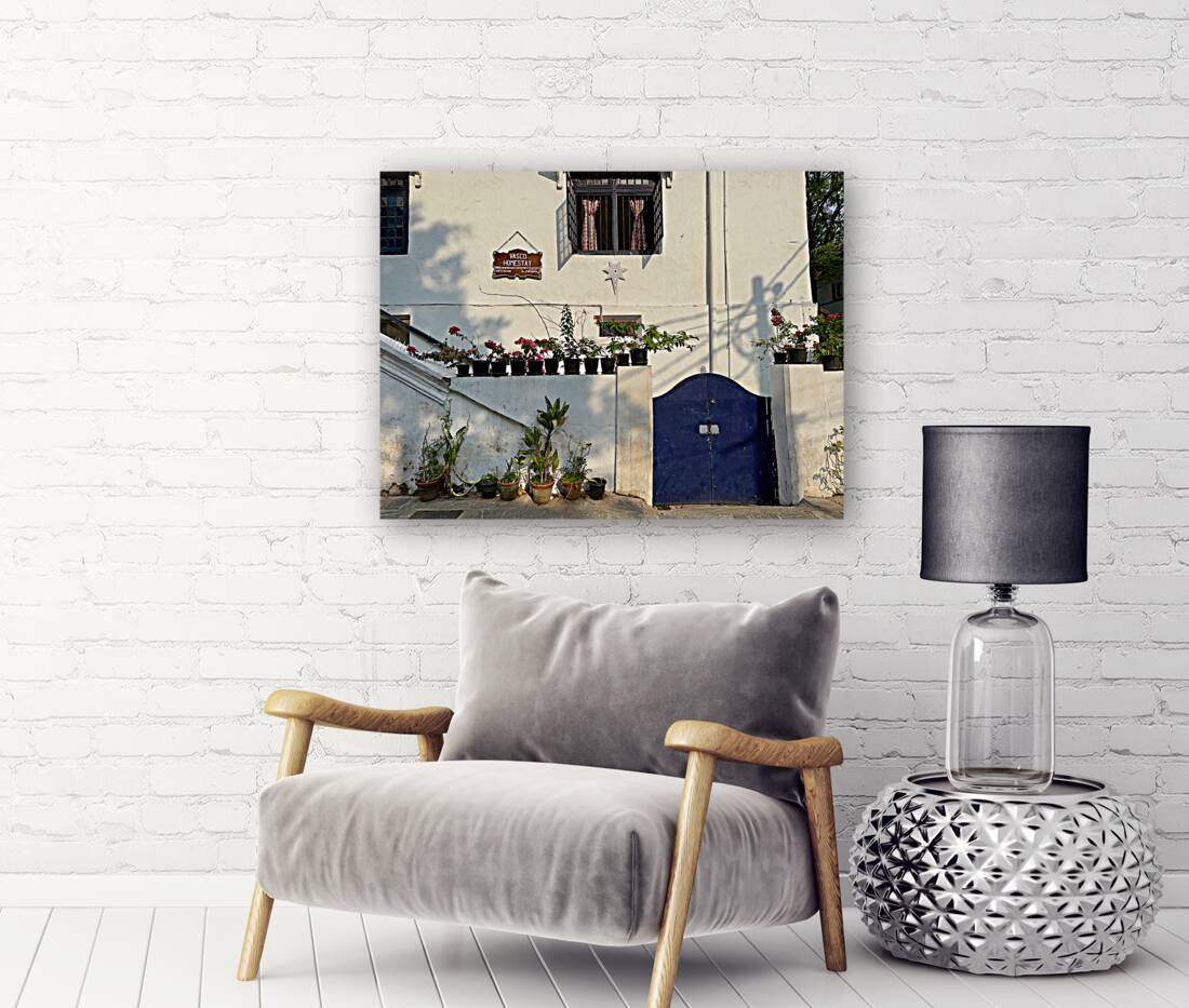 Vasco is not Home Reproduction