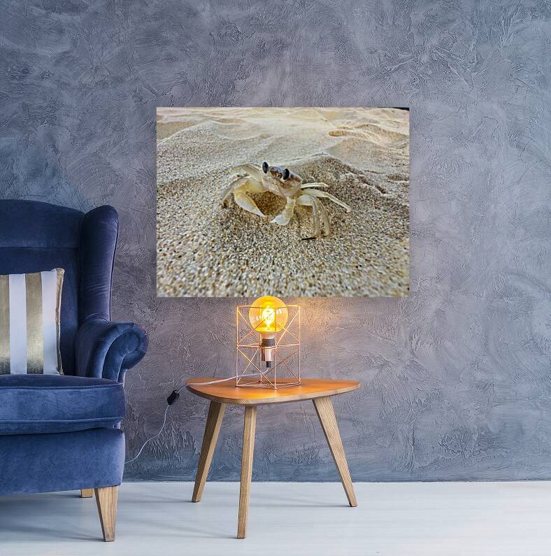 Crab on the Beach 2 Reproduction