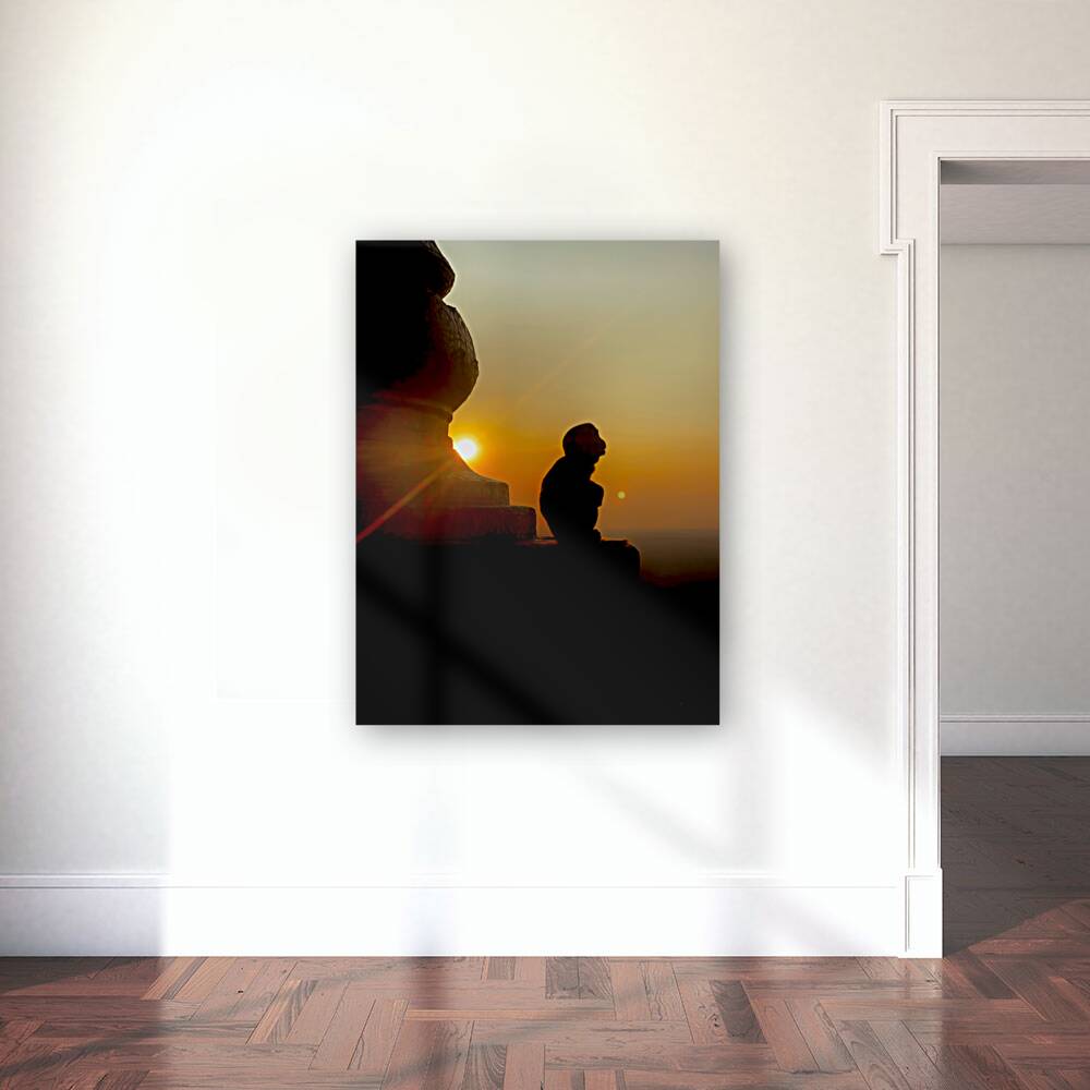 Enlightened Monkey at Sunset Reproduction