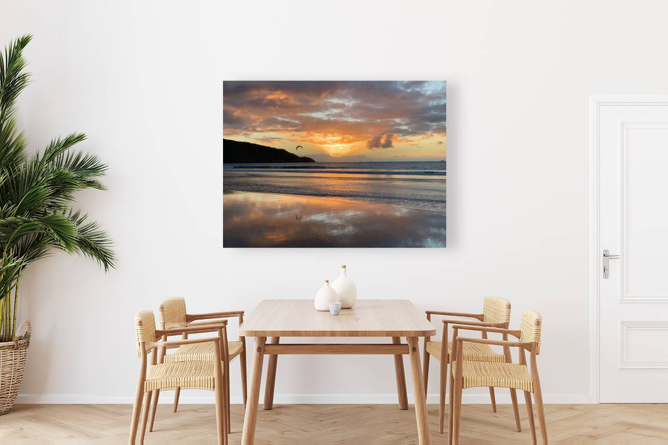 Amazing Sunset with Bird Reproduction