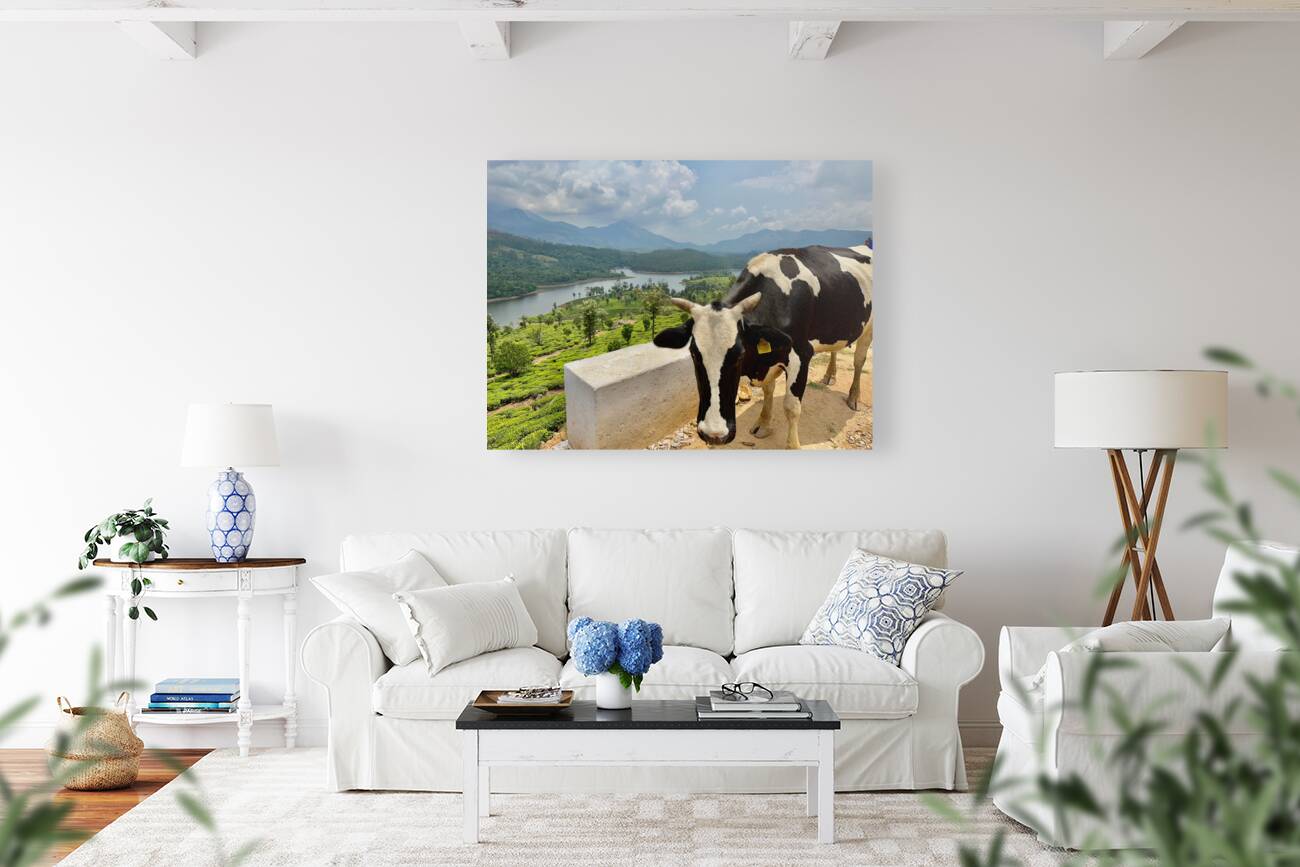 Cow with a View Reproduction