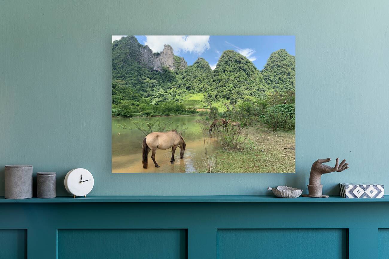 Horses in Paradise Reproduction