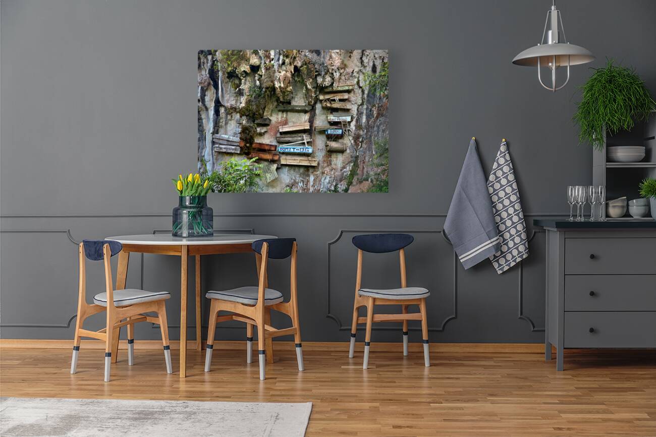 Hanging Coffins Reproduction