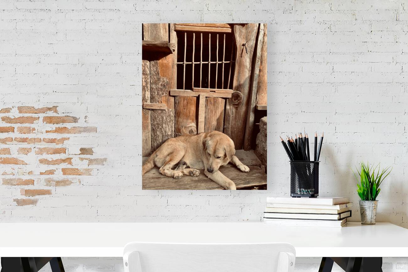 Doggy in Jail Reproduction