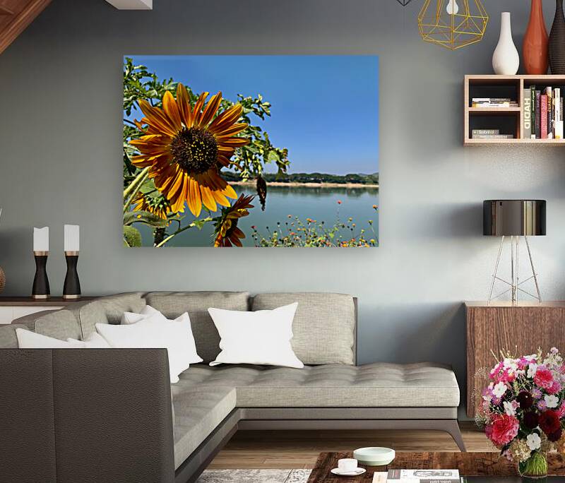Sunflower View Reproduction