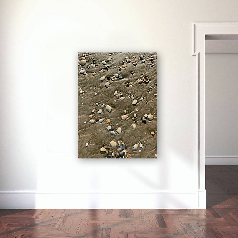 Seashells in the Sand Reproduction