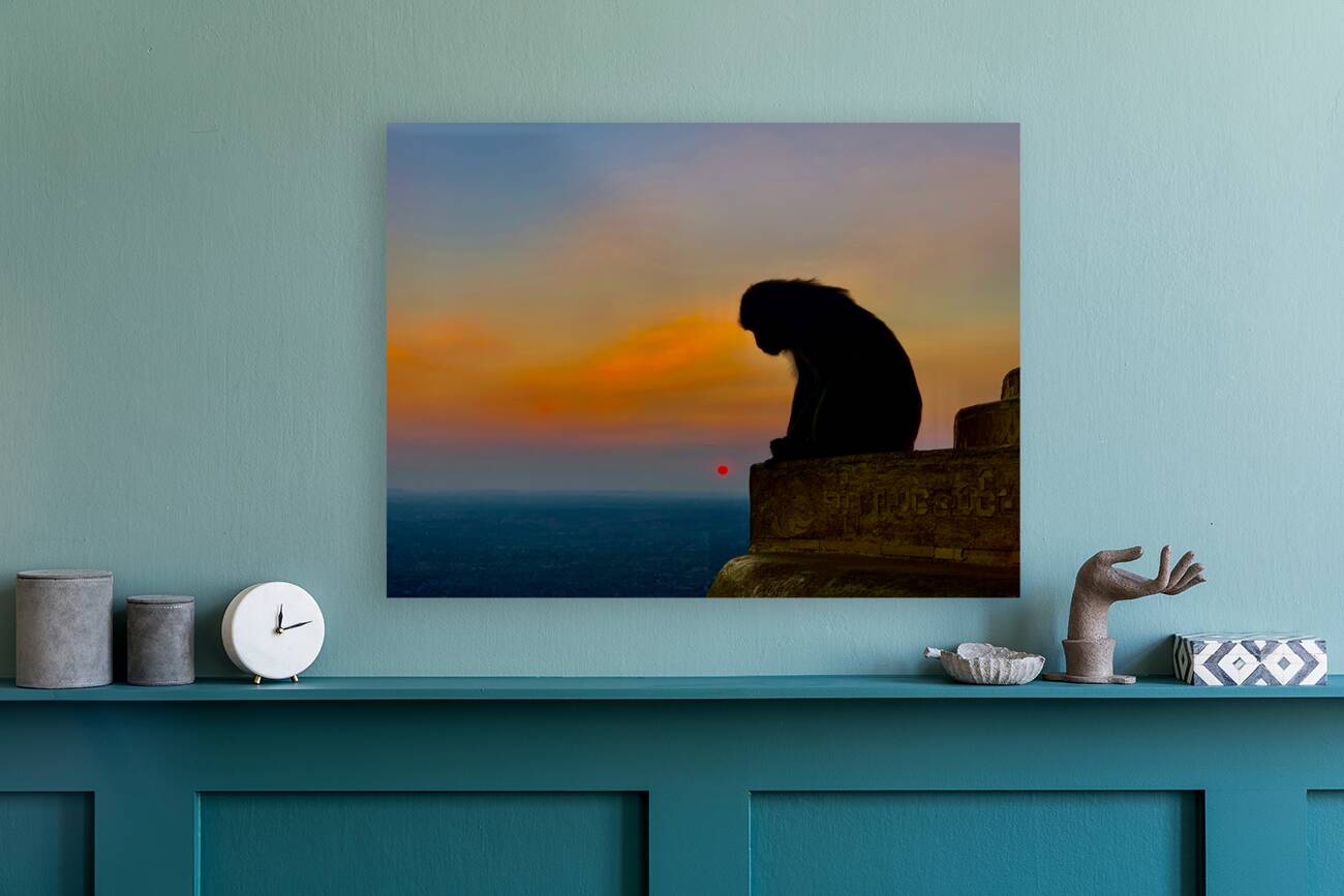 Thinking Monkey at Sunset Reproduction