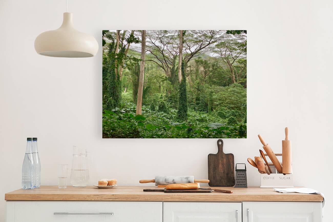 The Canopy Reproduction