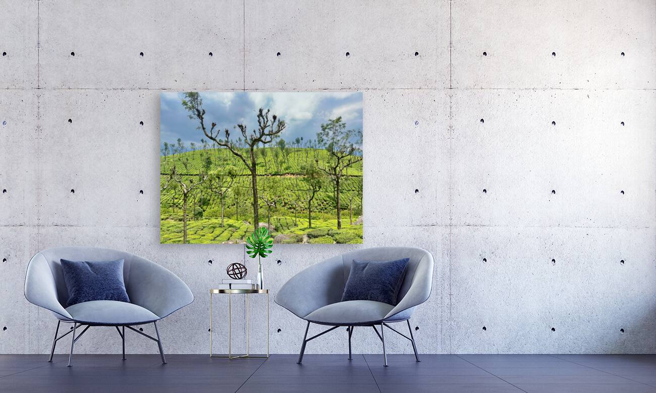 Trees in the Tea Plantations Reproduction