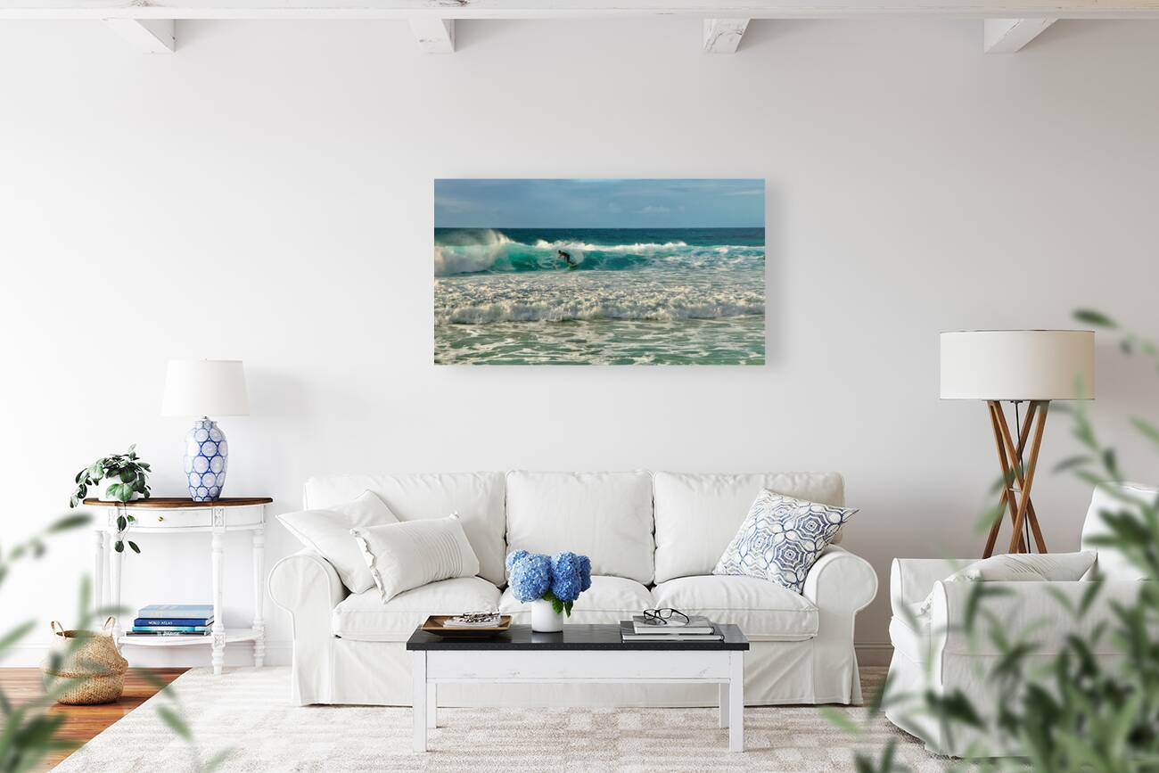 The Surfer Reproduction