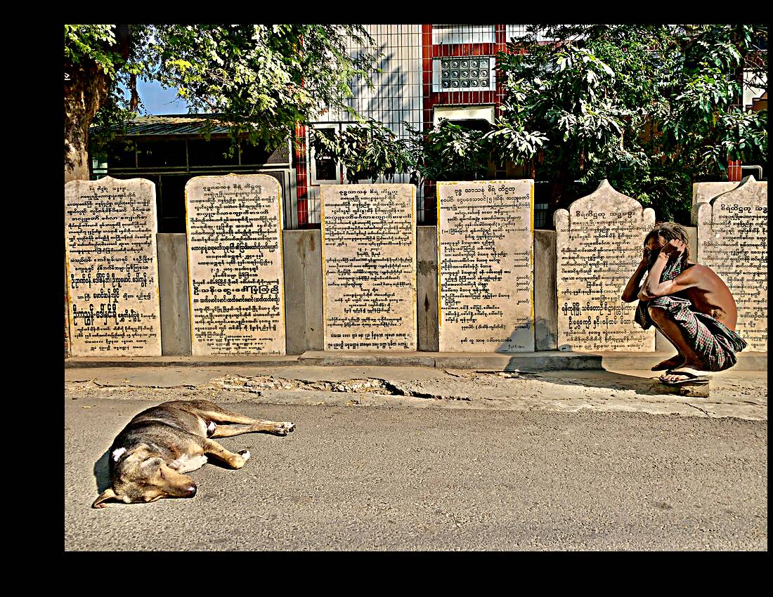 The Man and the Dog Reproduction