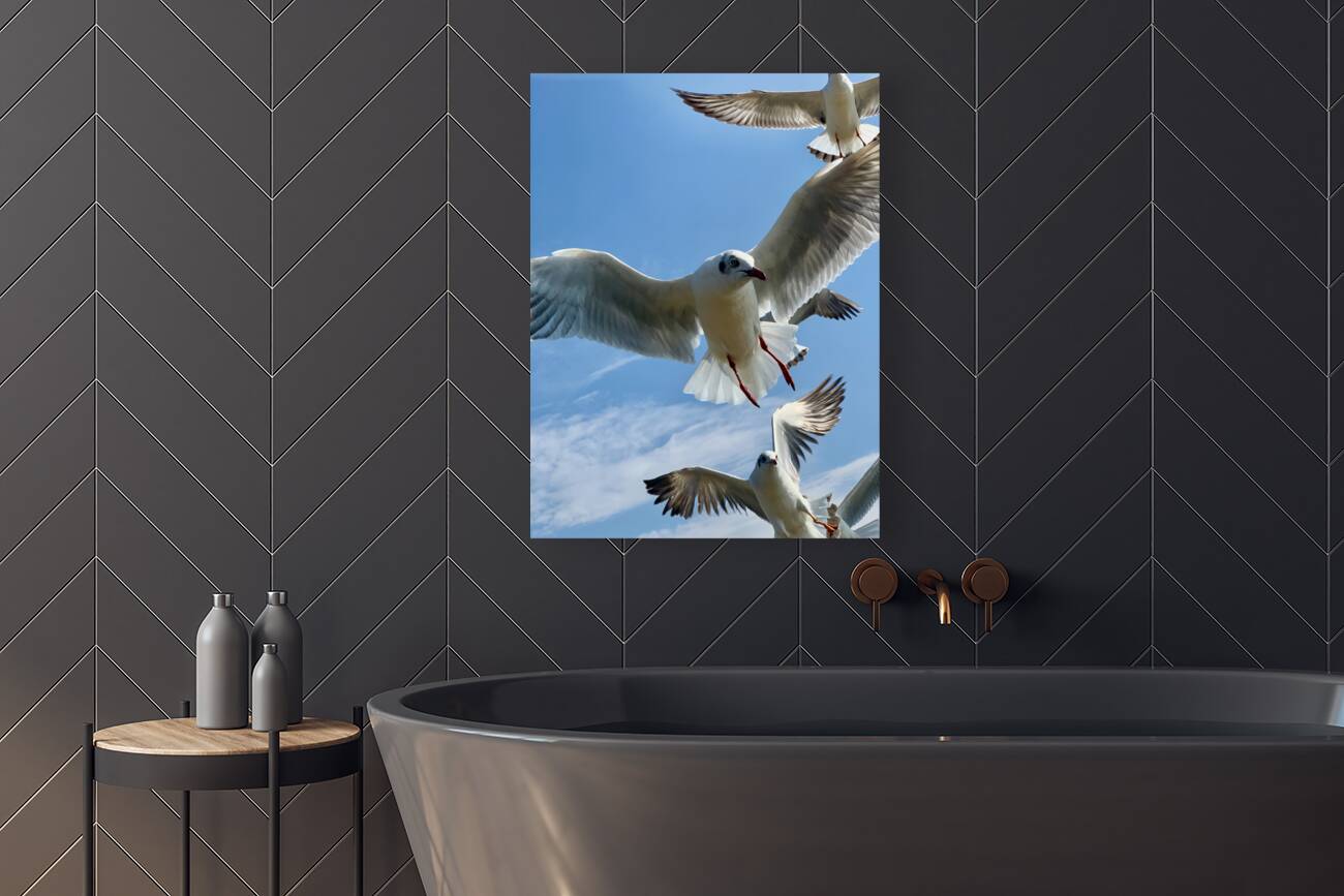 Seagull Look 2 Reproduction