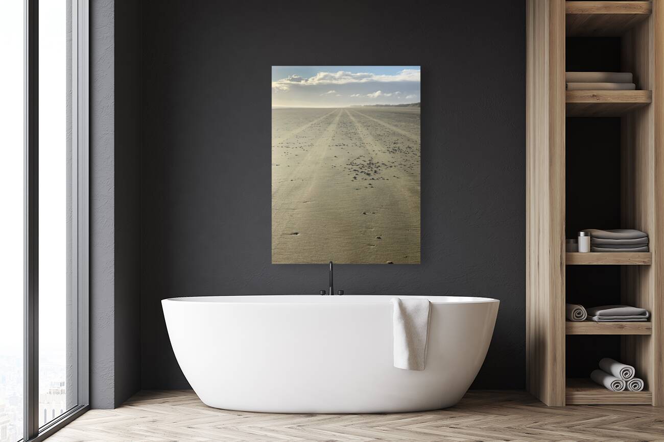 Infinite Sandy Beach Reproduction