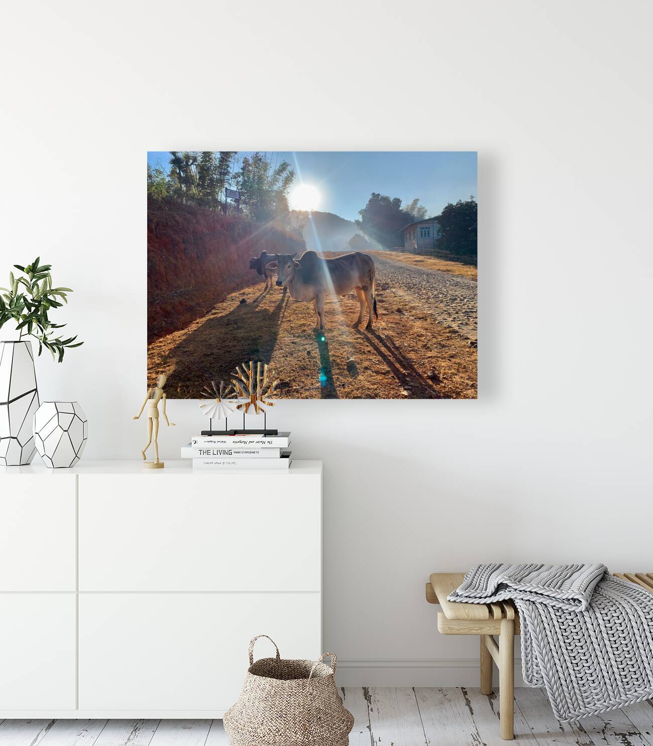 Cows in the Sun Reproduction