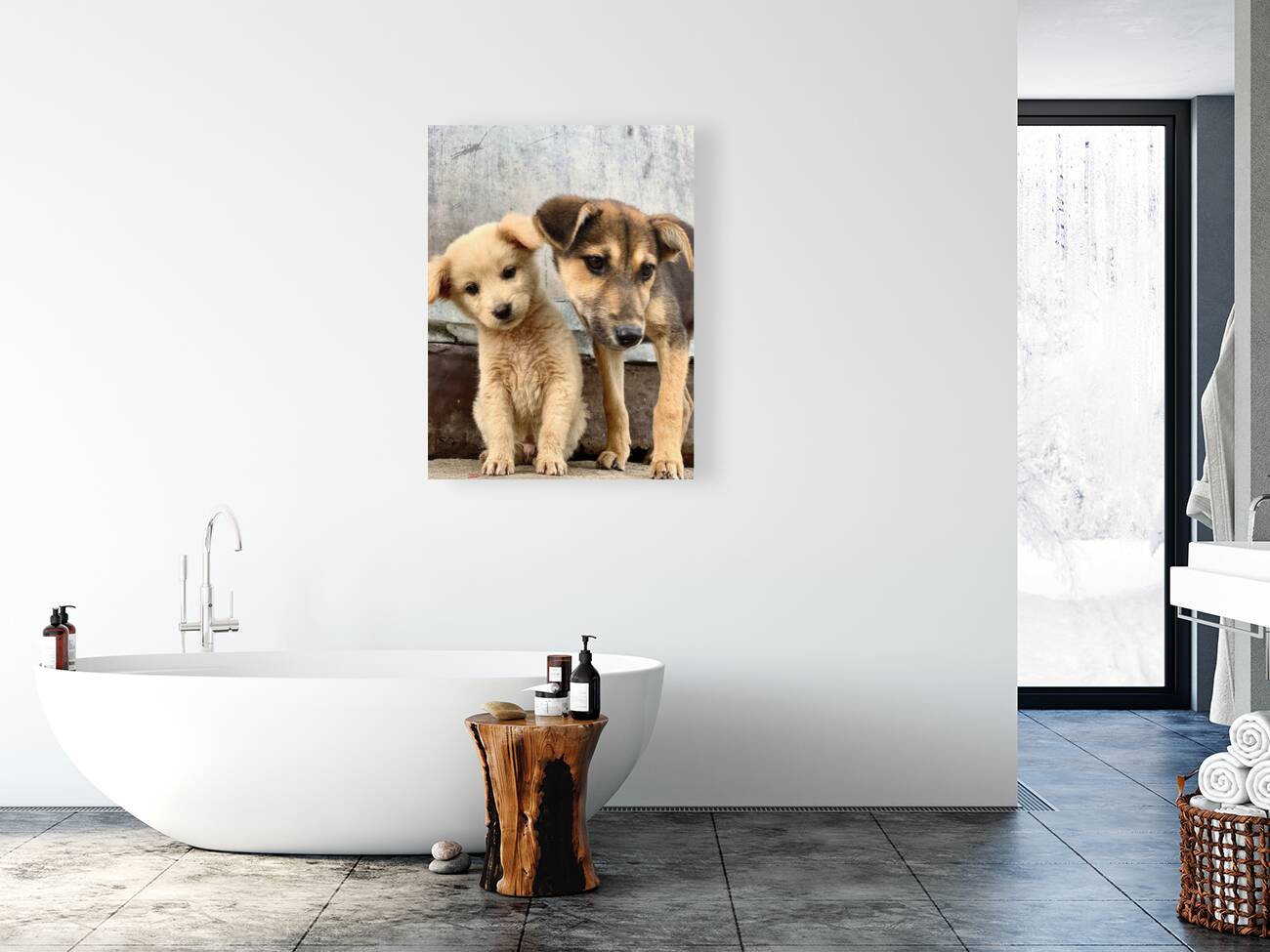 Give Me Some Room Puppy Reproduction