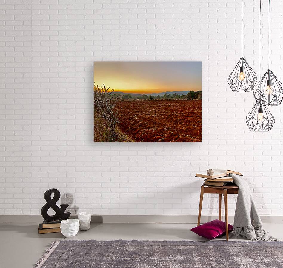 Sunset Over the Red Soil  Reproduction