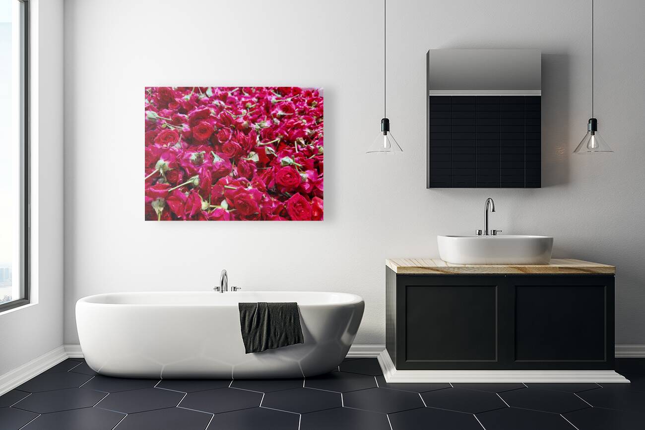 Many Roses Reproduction