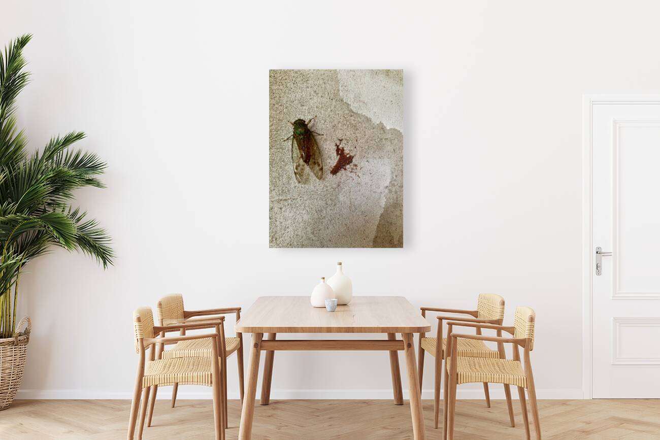 The Fly Reproduction