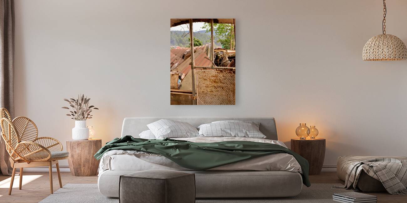 The Cat Living in the Ambulance Reproduction