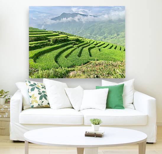 Rice Fields Going Down Reproduction