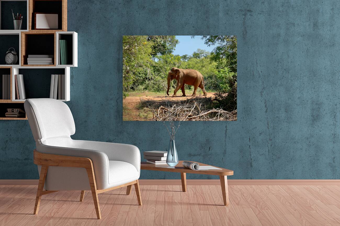 Elephant in the Wild Reproduction