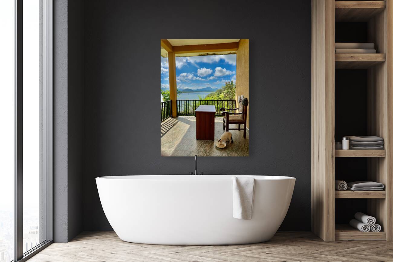 Cat Eating with a View Reproduction