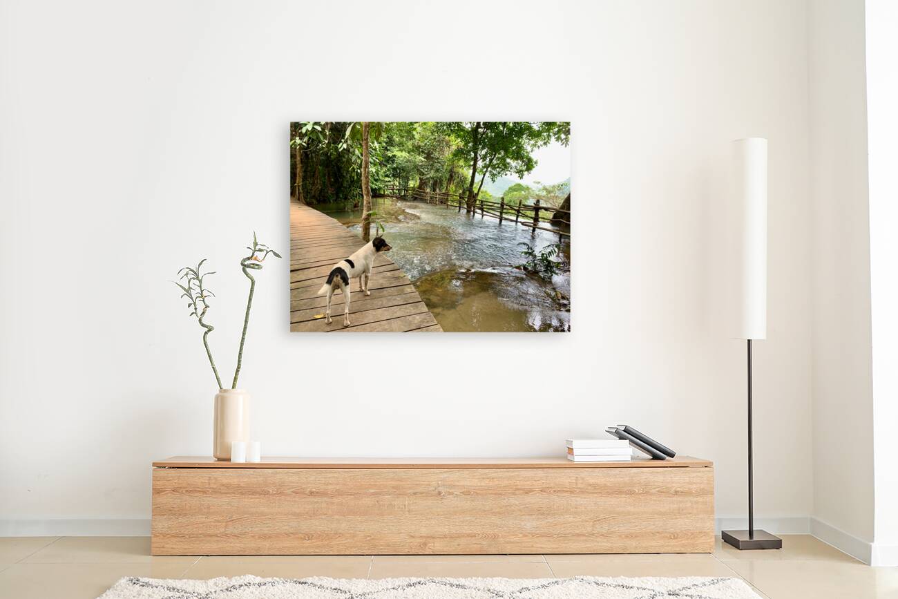 Dog Looking at the Horizon Reproduction