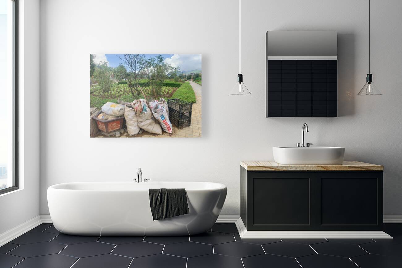 Lets Clean the Park Reproduction