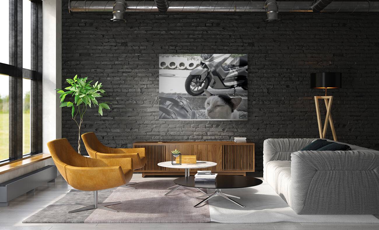 I Closed my Eyes Again   Cat Reproduction