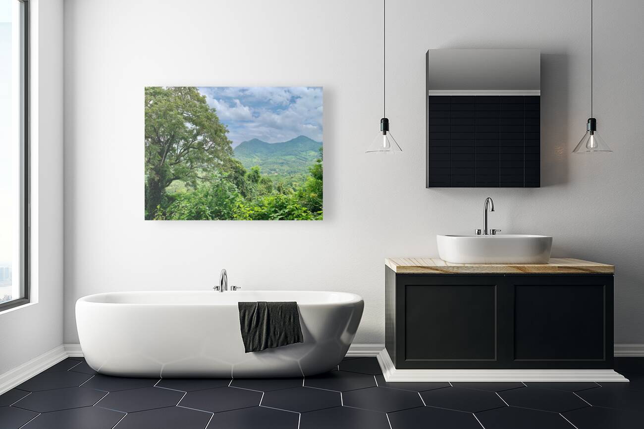 Jungle View Reproduction