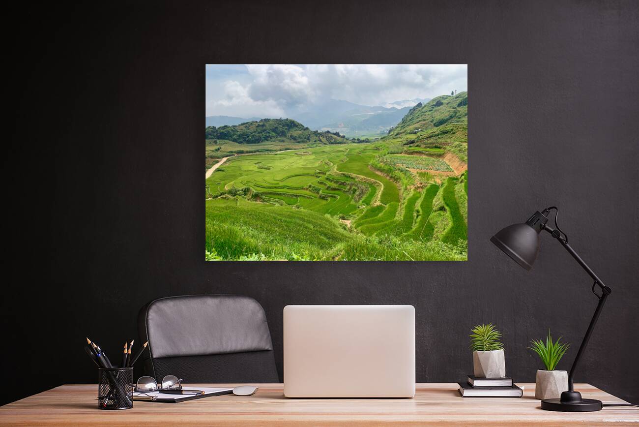 Rice Plateau Reproduction