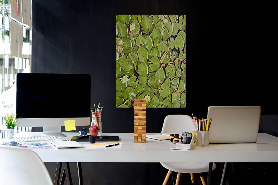 Water Lilies Reproduction