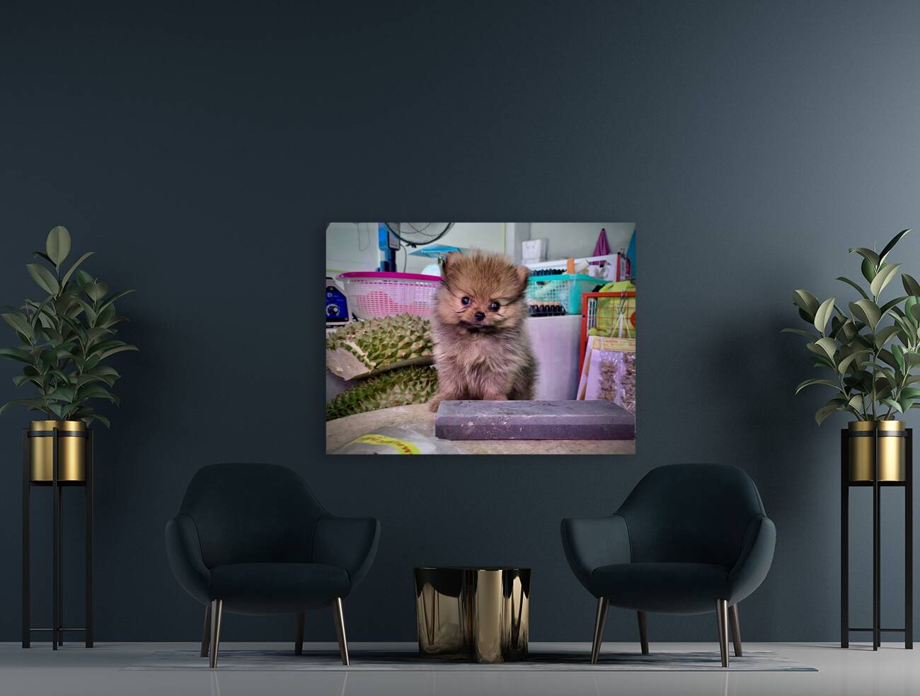 Furry Puppy Reproduction