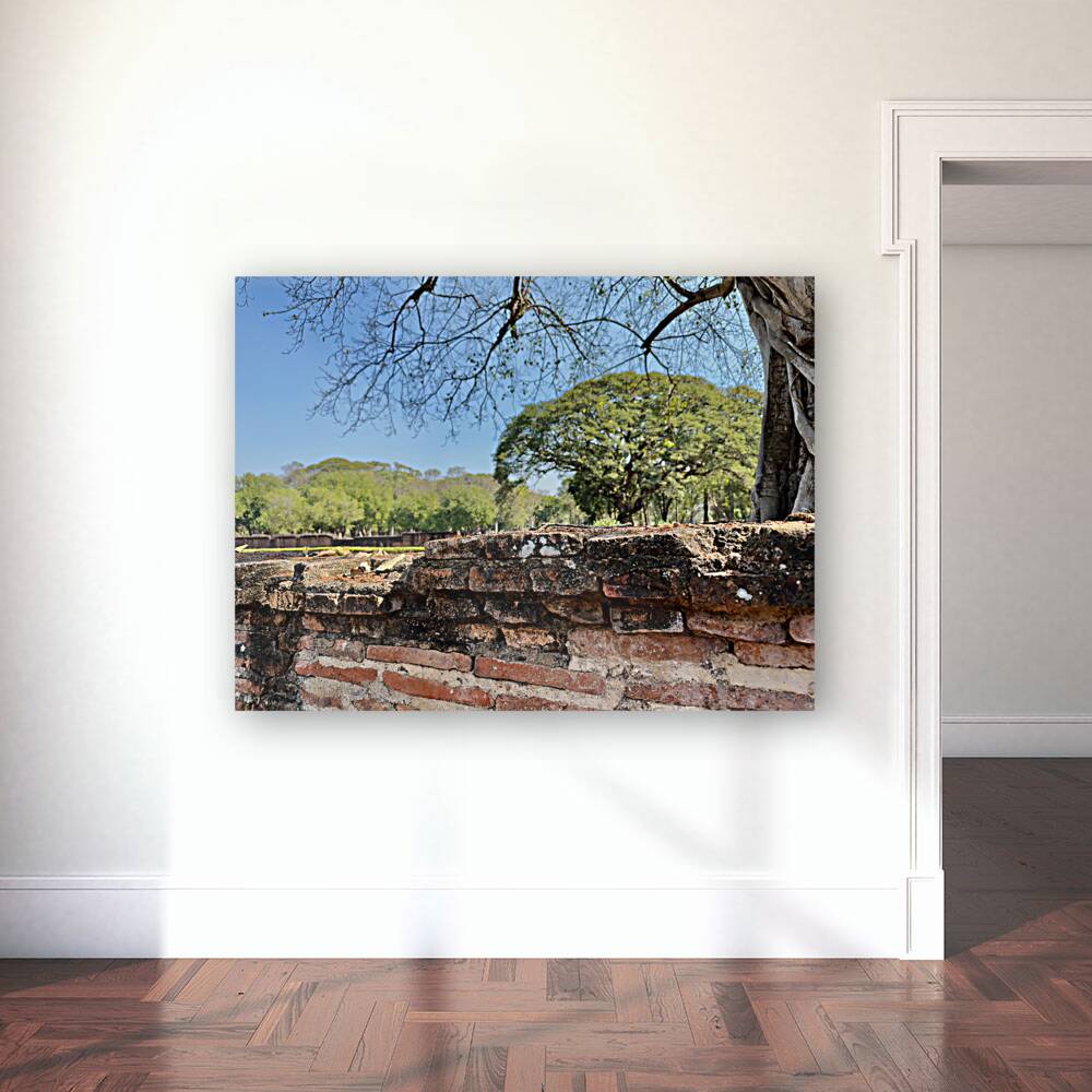 Nature Behind the Wall Reproduction