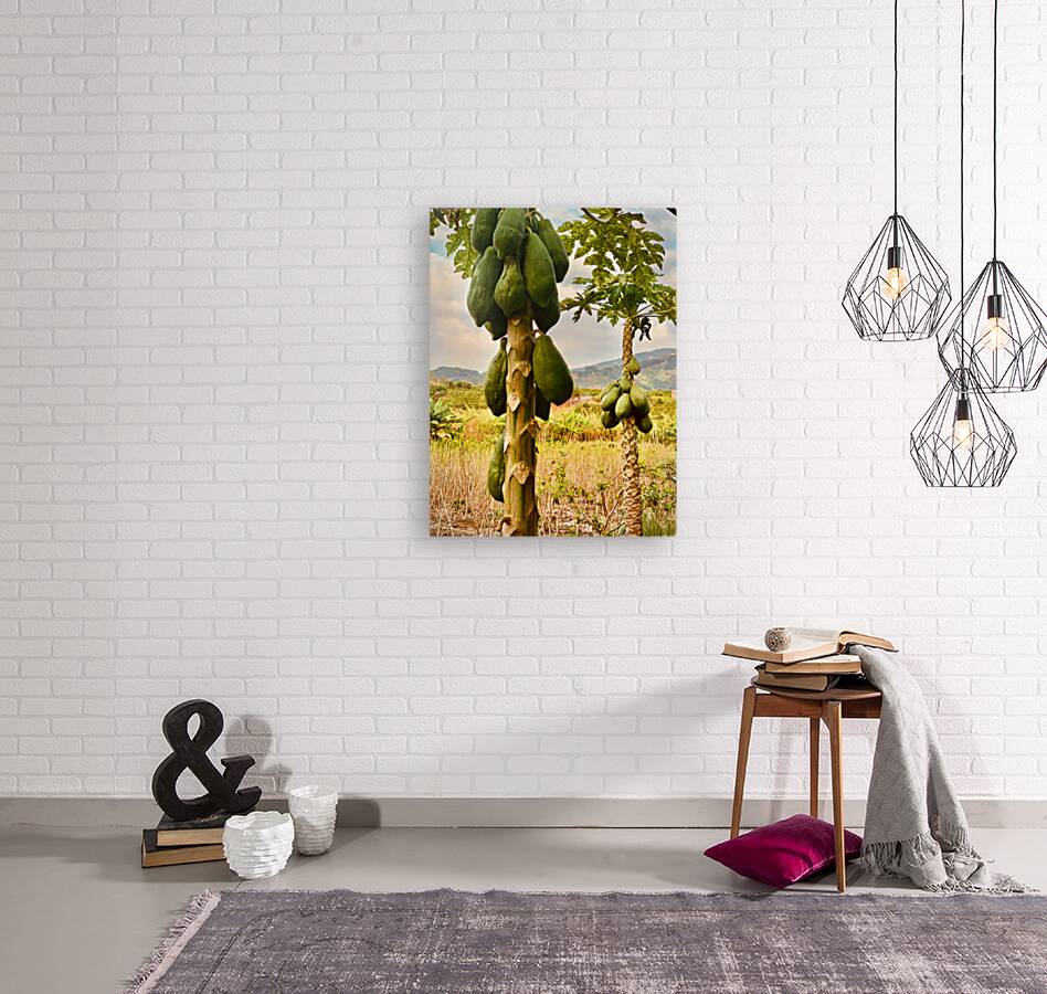 Papaya Trees Reproduction