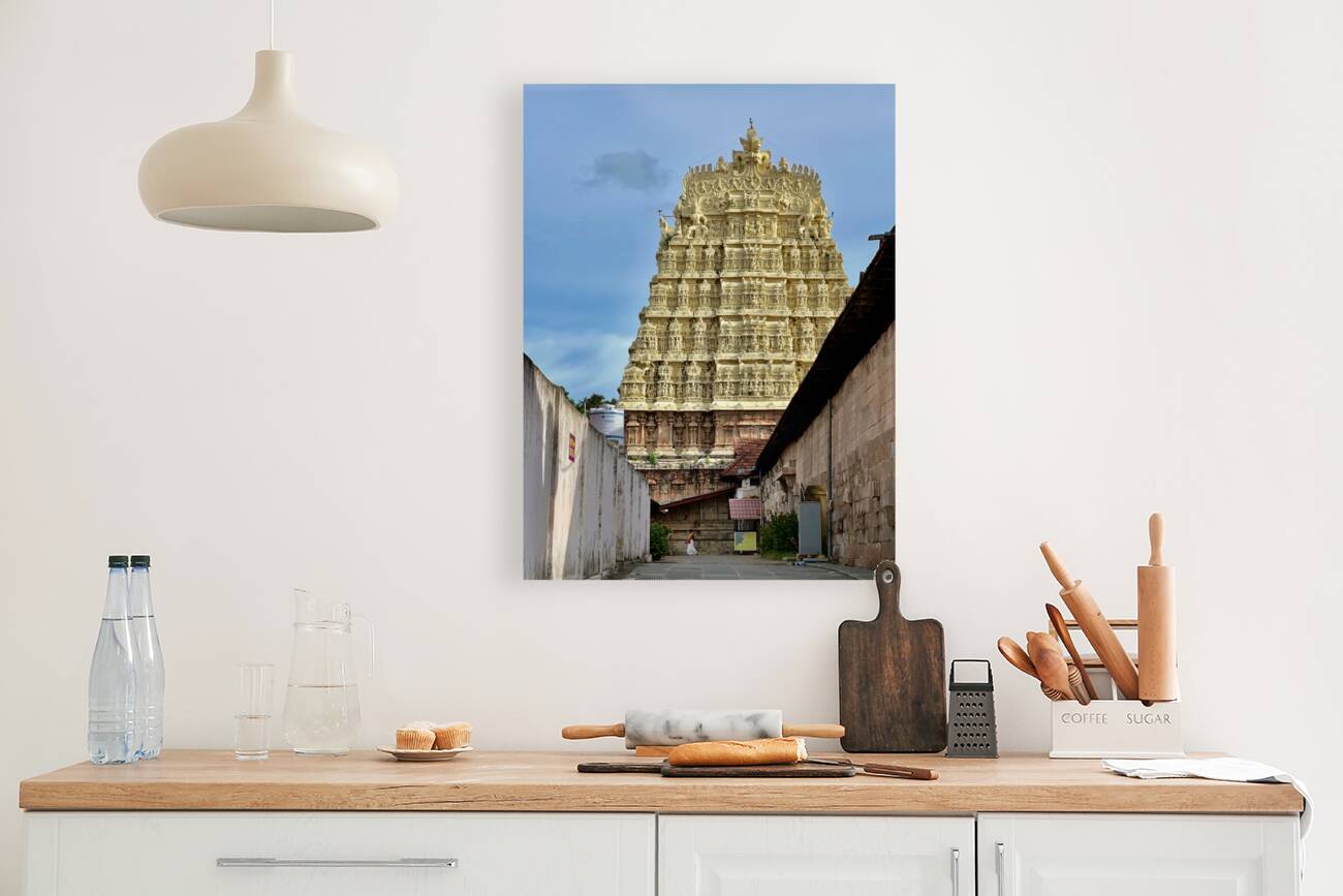 Side of Sree Padmanabhaswamy Temple Reproduction
