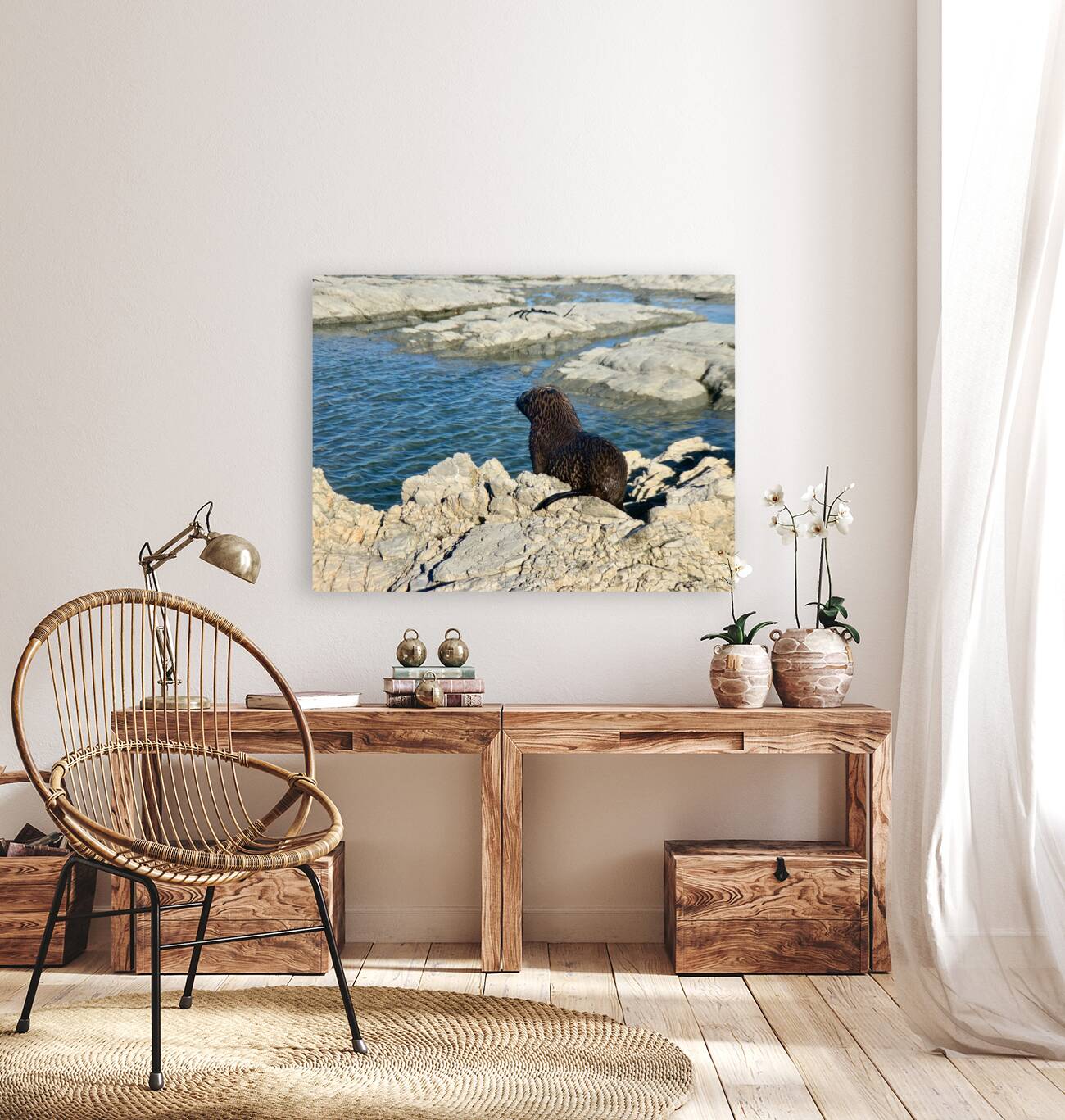 Seal Looking at a Distance Reproduction