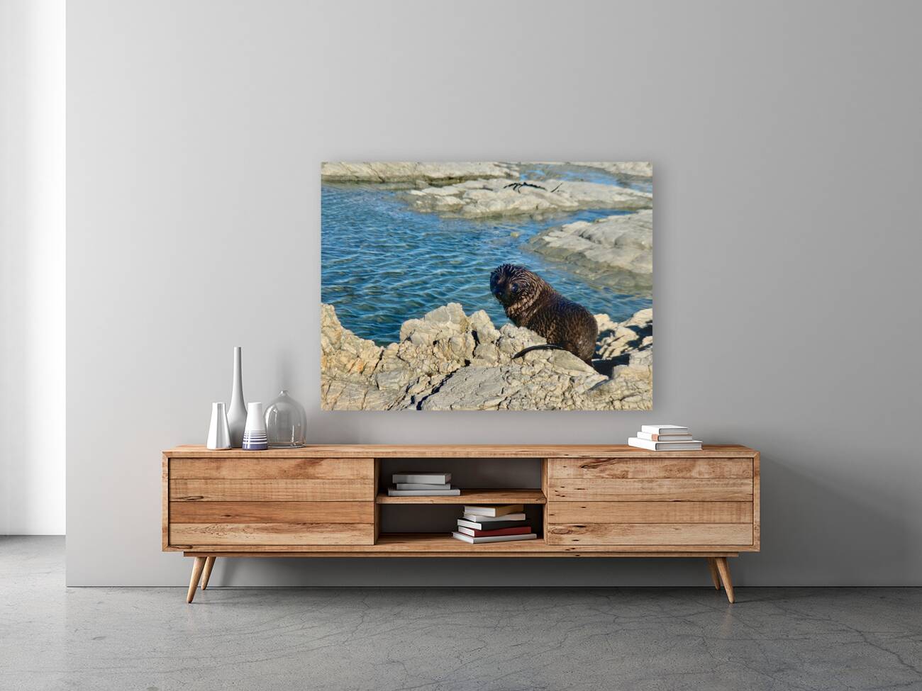 Seal Looking Back at You Reproduction