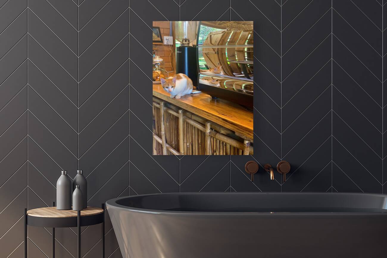 A Cat Named Cappucino Reproduction