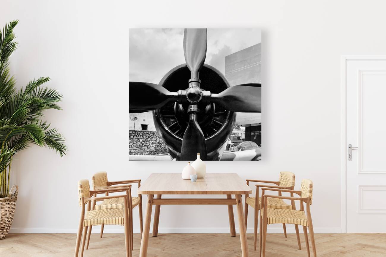 BW Propellers Reproduction