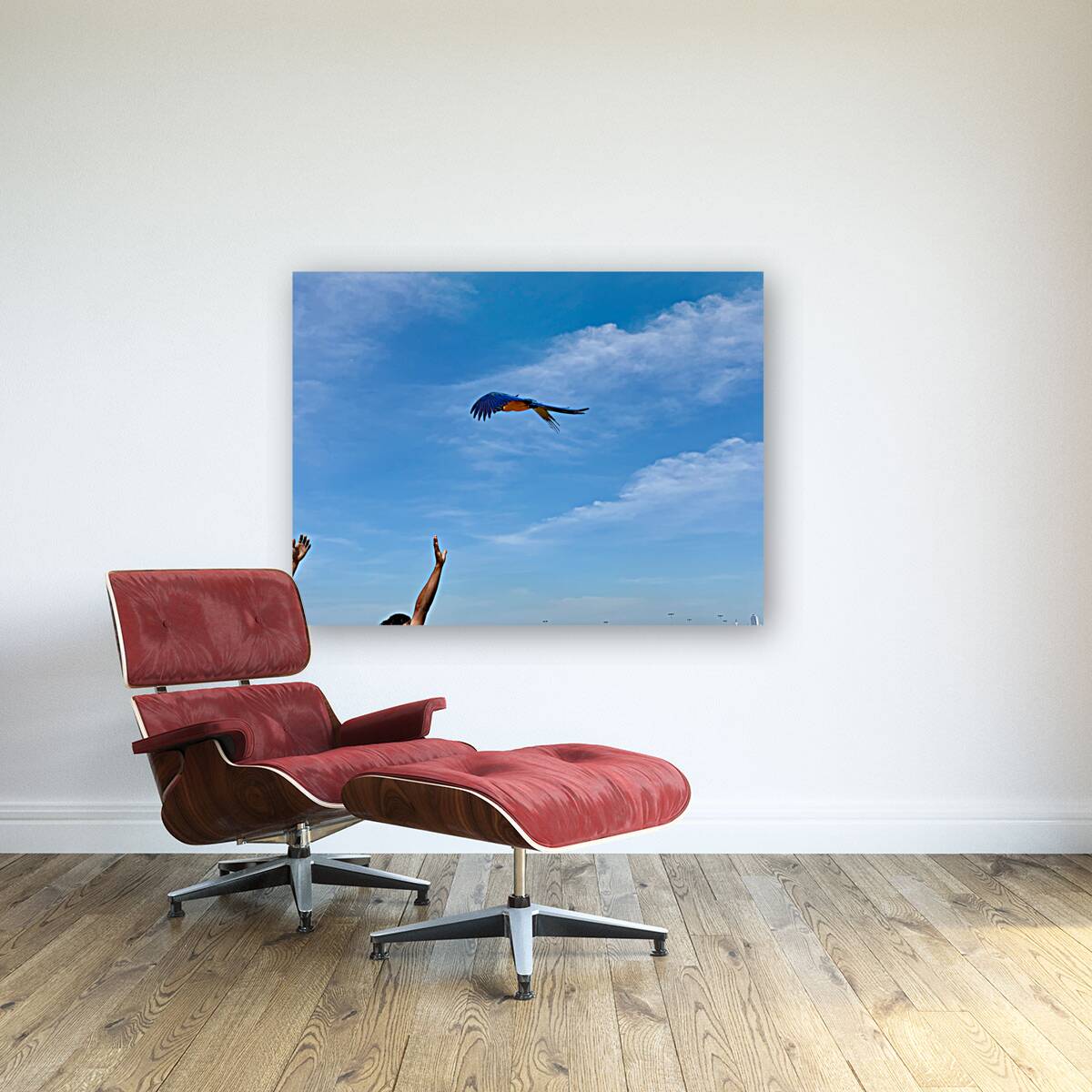 Macaws with Hands Reproduction