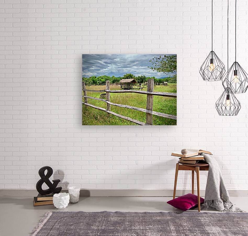 Looking at the Farm Reproduction