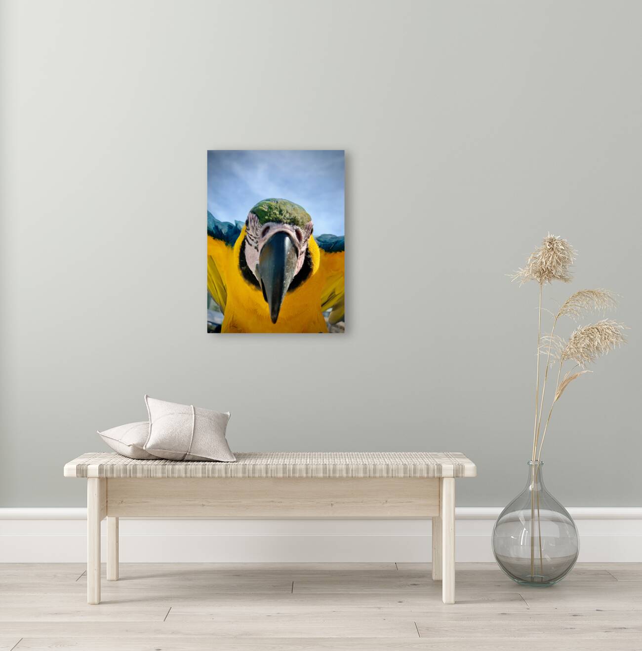 Macaws Close up Reproduction