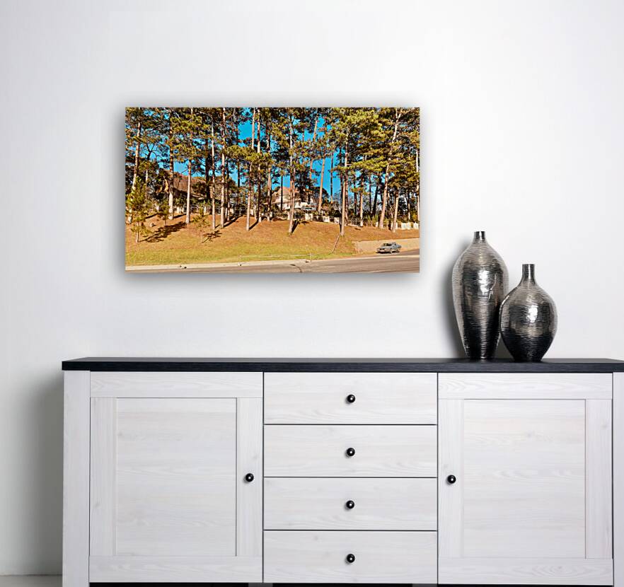 You Forgot Your Car Reproduction