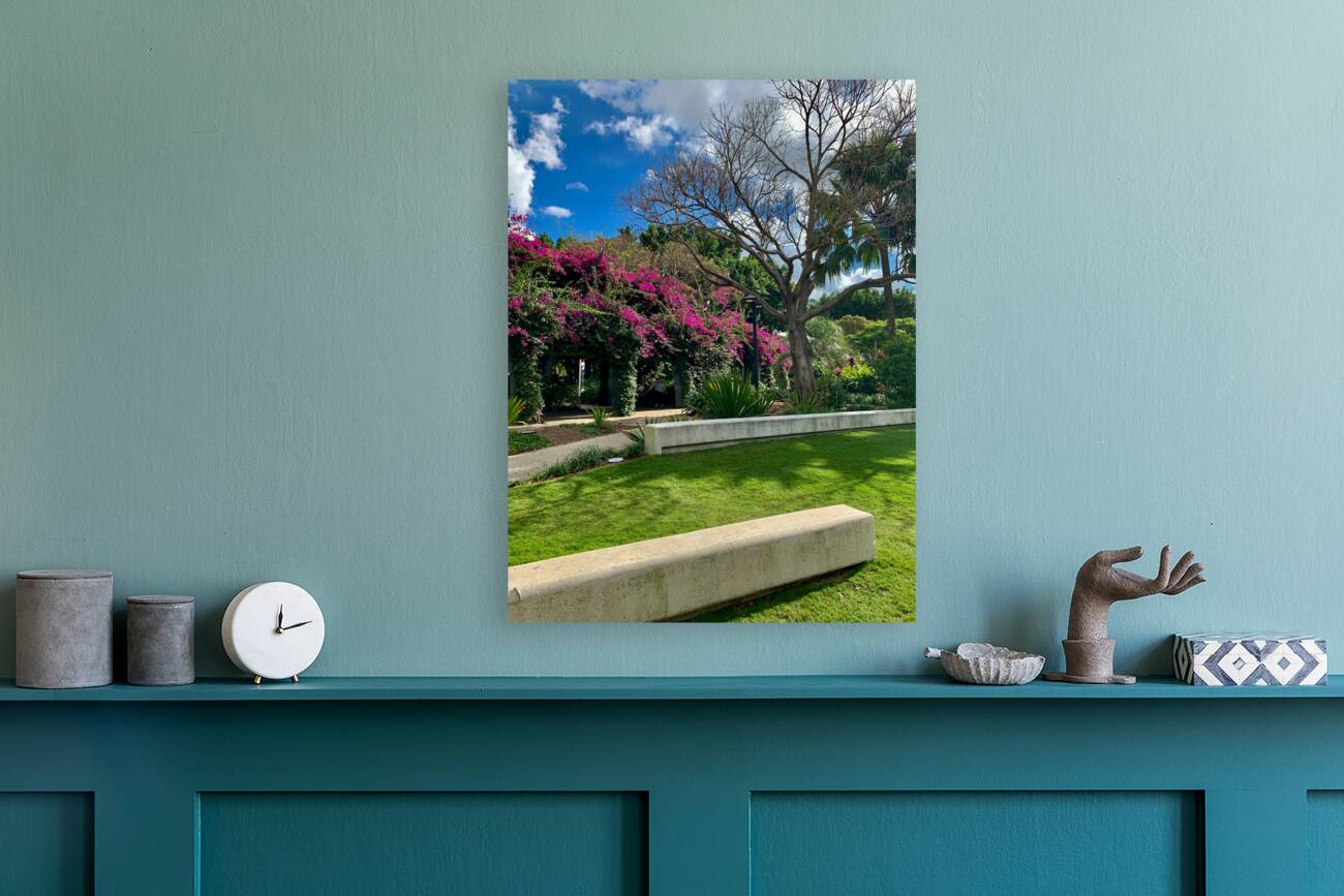 At the Park in Brisbane Reproduction