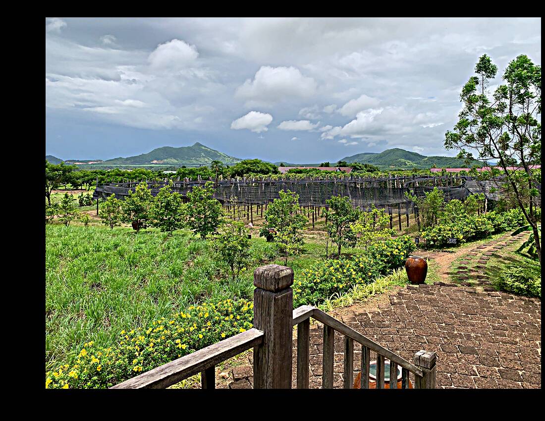 The Pepper Plantations Reproduction