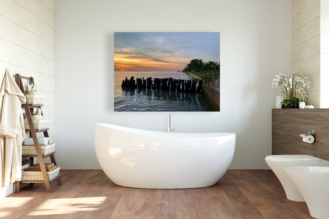 Sunset at the End Reproduction