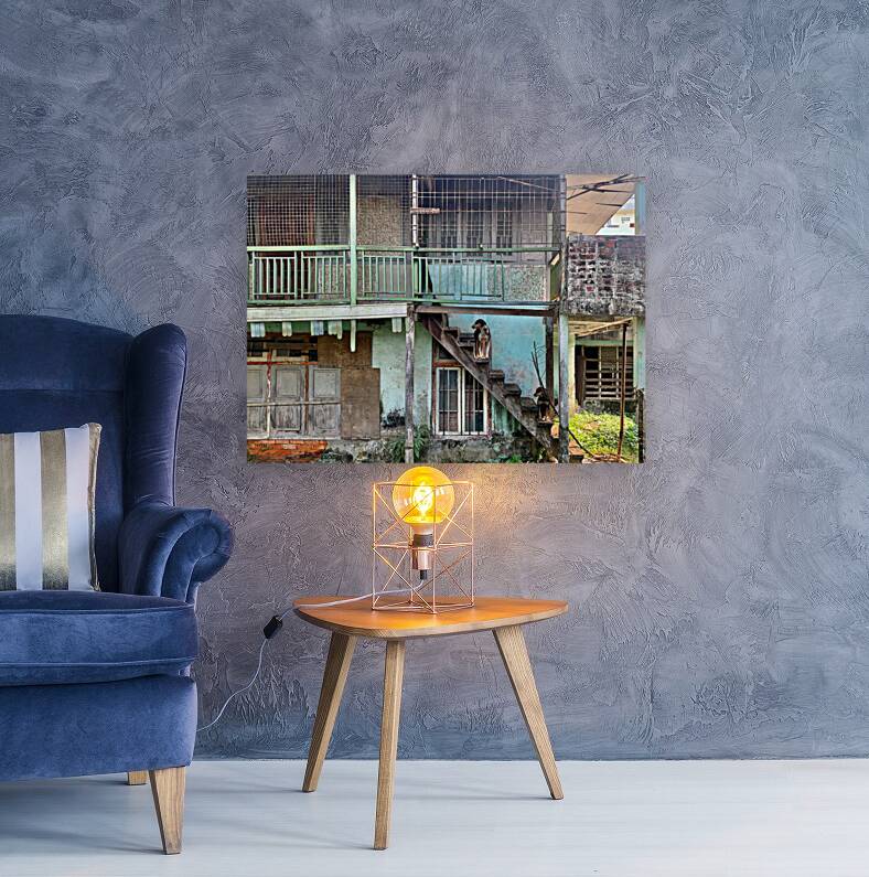 Dogs Looking Right Reproduction