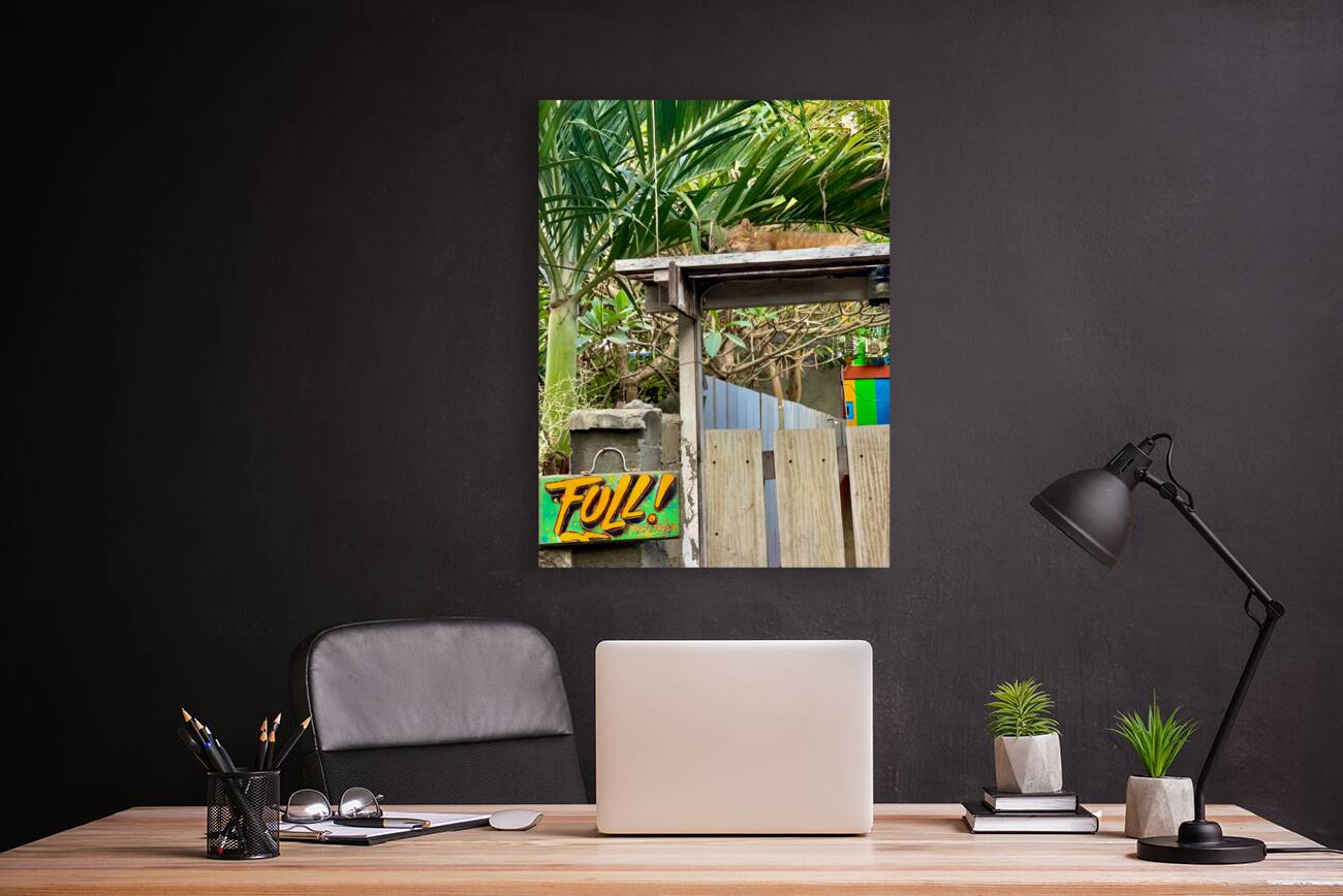 Full House Kitty Cat Reproduction