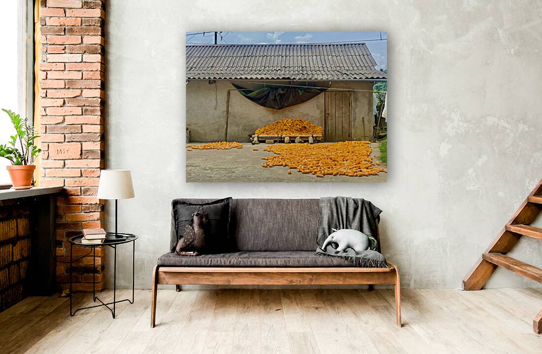 Dry Corn House Reproduction